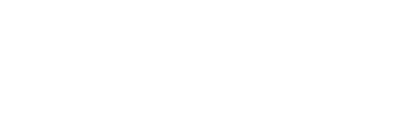 Kiwi Gestion